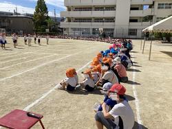 IMG_8132.jpeg