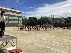 IMG_8133.jpeg