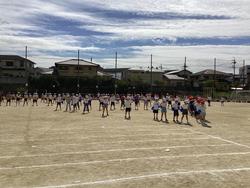IMG_8134.jpeg