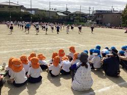 IMG_8137.jpeg