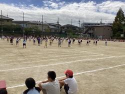 IMG_8154.jpeg
