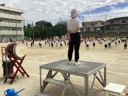 IMG_8155.jpeg