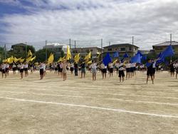 IMG_8173.jpeg