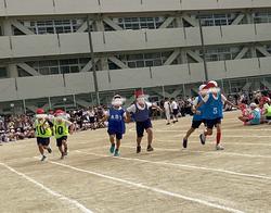 IMG_8205.jpeg
