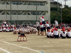 IMG_8224.jpeg