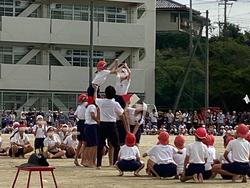 IMG_8227.jpeg