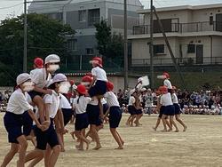 IMG_8233.jpeg