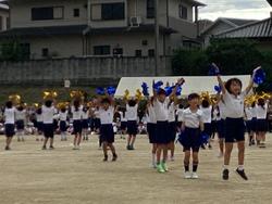 IMG_8265.jpeg