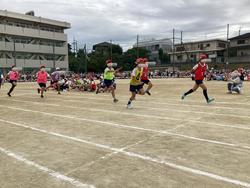 IMG_8316.jpeg