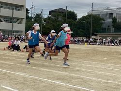 IMG_8320.jpeg