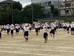 IMG_8336.jpeg