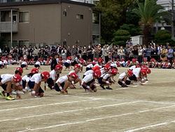 IMG_8345.jpeg