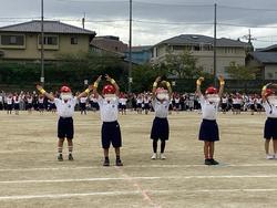 IMG_8347.jpeg