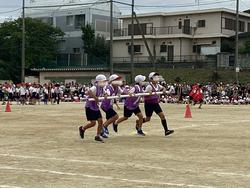 IMG_8362.jpeg
