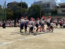 IMG_2667.jpeg