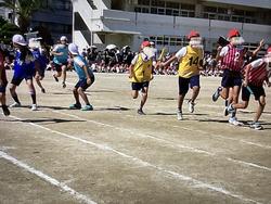 IMG_2994.jpeg