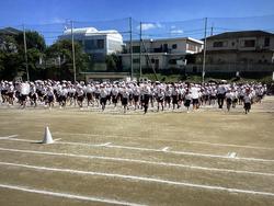 IMG_3005.jpeg