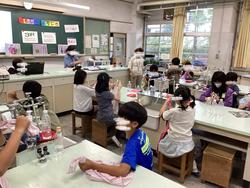 IMG_1361.jpeg