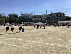 IMG_2661.jpeg