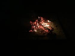 IMG_7607.jpeg