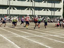 IMG_2716.jpeg