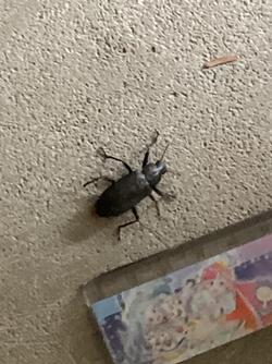IMG_0986.jpeg