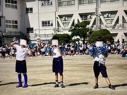 IMG_3001.jpeg