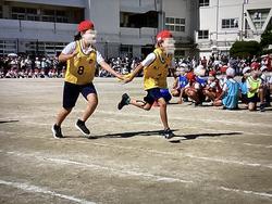 IMG_2996.jpeg