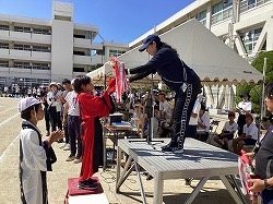 IMG_3027.jpeg