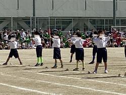 IMG_2648.jpeg