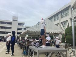 IMG_3252.jpeg