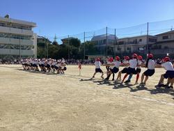IMG_2583.jpeg
