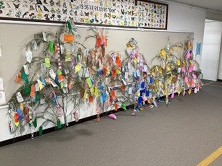 2025-07-03 12.42.06.jpg
