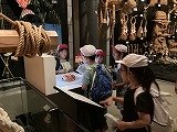 IMG_0377.jpg