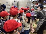 IMG_0615.jpg
