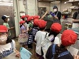 IMG_0617.jpg