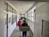 IMG_2969.jpg