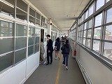IMG_2975.jpg
