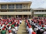 IMG_2984.jpg