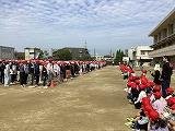 IMG_2985.jpg