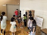 IMG_3227.jpg