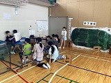 IMG_3234.jpg