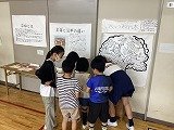 IMG_3235.jpg