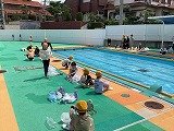 IMG_3253.jpg