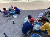 IMG_3265.jpg