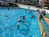 IMG_3270.jpg