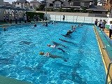 IMG_3271.jpg