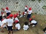 IMG_7762.jpg