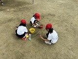 IMG_7764.jpg