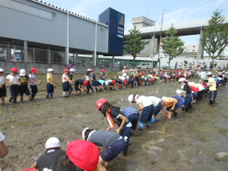９印に沿って並びます。.JPG